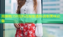 周黑鸭350克料包秘制香料卤制美味必备