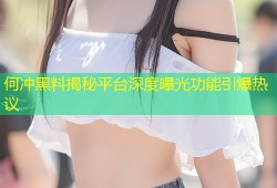 何冲黑料揭秘平台深度曝光功能引爆热议