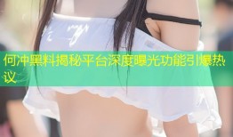 何冲黑料揭秘平台深度曝光功能引爆热议