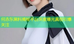 何赤东黑料揭秘平台深度曝光真相引爆关注