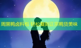 周黑鸭卤料包 轻松复刻正宗鸭货美味