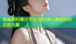 各省黑料曝光平台 实时揭示真相助您洞察内幕