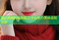 周记黑鸭料秘制配方平台助力美味卤制创新