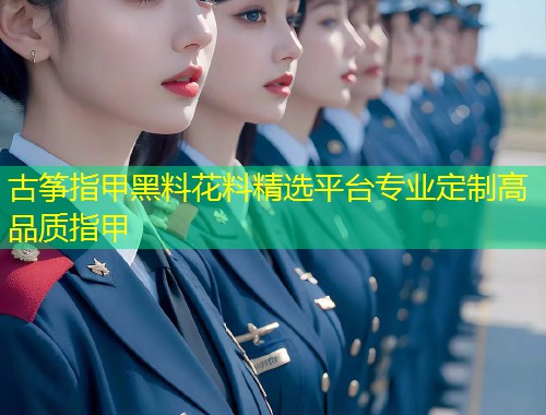 古筝指甲黑料花料精选平台专业定制高品质指甲