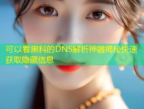 可以看黑料的DNS解析神器揭秘快速获取隐藏信息