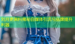 刘月更黑料揭秘自媒体引流与品牌提升利器
