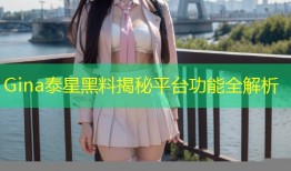 Gina泰星黑料揭秘平台功能全解析