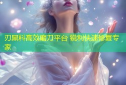 刃黑料高效磨刀平台 锐利快速修复专家