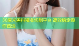 30厘米黑料精准切割平台 高效稳定操作首选