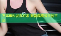 万华黑料发泡专家 聚氨酯高效定制平台