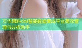 万华黑料ddi智能数据集成平台高效管理与分析助手