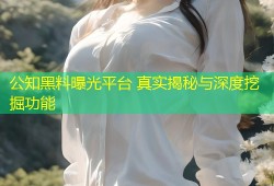 公知黑料曝光平台 真实揭秘与深度挖掘功能