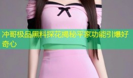 冲哥极品黑料探花揭秘平家功能引爆好奇心