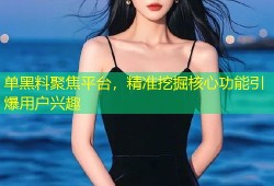 单黑料聚焦平台，精准挖掘核心功能引爆用户兴趣