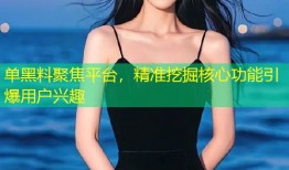单黑料聚焦平台，精准挖掘核心功能引爆用户兴趣