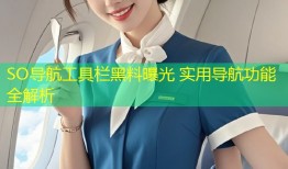 SO导航工具栏黑料曝光 实用导航功能全解析
