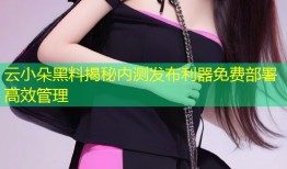 云小朵黑料揭秘内测发布利器免费部署高效管理
