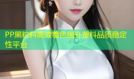 PP黑粒料高效着色提升塑料品质稳定性平台