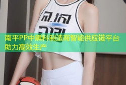 南平PP中黑料制造商智能供应链平台助力高效生产