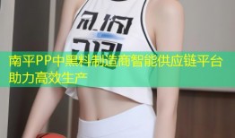 南平PP中黑料制造商智能供应链平台助力高效生产