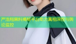 严浩翔黑料揭秘平台助力真相深挖与舆论监控