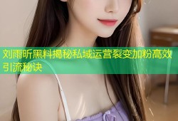 刘雨昕黑料揭秘私域运营裂变加粉高效引流秘诀