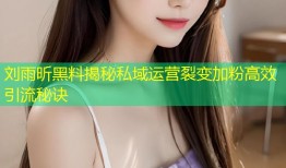 刘雨昕黑料揭秘私域运营裂变加粉高效引流秘诀