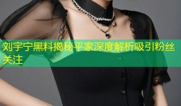 刘宇宁黑料揭秘平家深度解析吸引粉丝关注