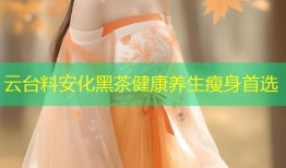 云台料安化黑茶健康养生瘦身首选