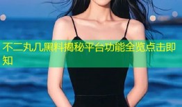 不二丸几黑料揭秘平台功能全览点击即知