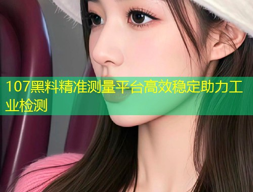 107黑料精准测量平台高效稳定助力工业检测