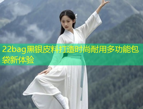 22bag黑银皮料打造时尚耐用多功能包袋新体验