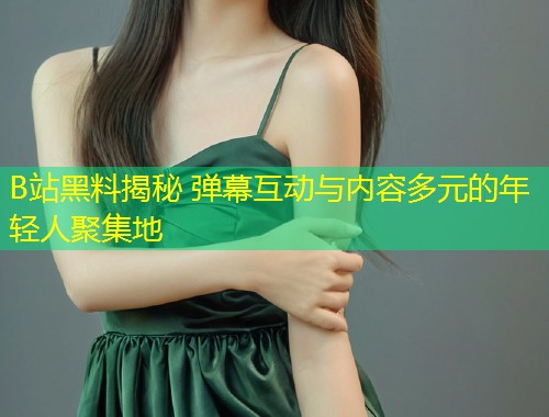 B站黑料揭秘 弹幕互动与内容多元的年轻人聚集地