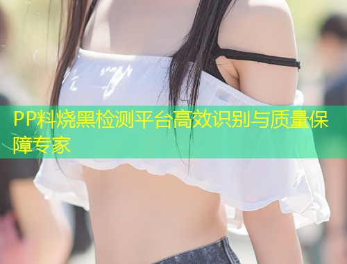 PP料烧黑检测平台高效识别与质量保障专家