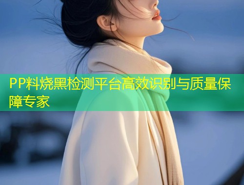 PP料烧黑检测平台高效识别与质量保障专家