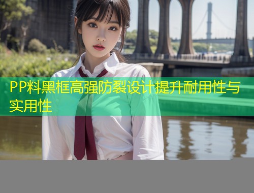 PP料黑框高强防裂设计提升耐用性与实用性