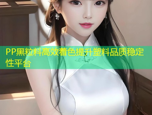PP黑粒料高效着色提升塑料品质稳定性平台