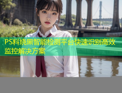 PS料烧黑智能检测平台快速识别高效监控解决方案