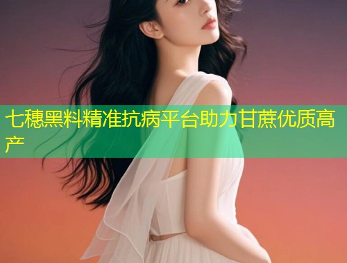 七穗黑料精准抗病平台助力甘蔗优质高产