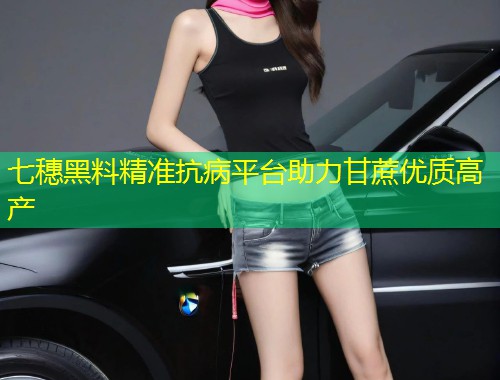 七穗黑料精准抗病平台助力甘蔗优质高产