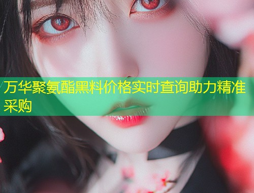 万华聚氨酯黑料价格实时查询助力精准采购