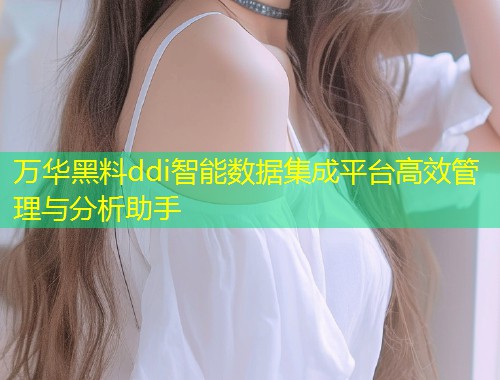 万华黑料ddi智能数据集成平台高效管理与分析助手
