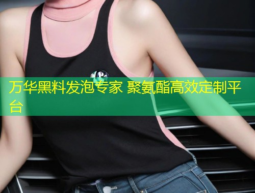 万华黑料发泡专家 聚氨酯高效定制平台