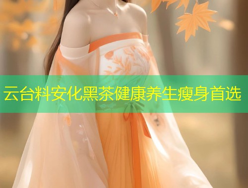 云台料安化黑茶健康养生瘦身首选