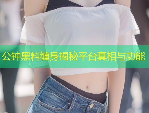 公钟黑料缠身揭秘平台真相与功能