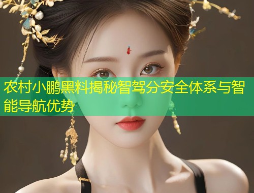 农村小鹏黑料揭秘智驾分安全体系与智能导航优势