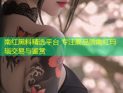 南红黑料精选平台 专注高品质南红玛瑙交易与鉴赏